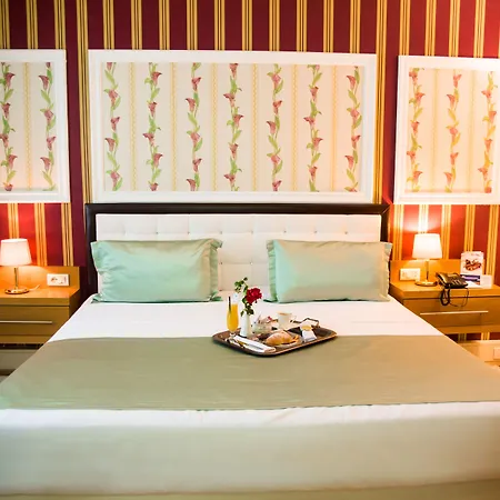 地拉那国际酒店及会议中心 酒店 4*